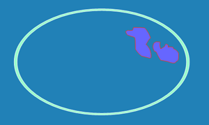 cell imagery